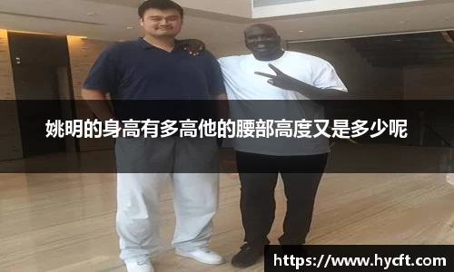 姚明的身高有多高他的腰部高度又是多少呢